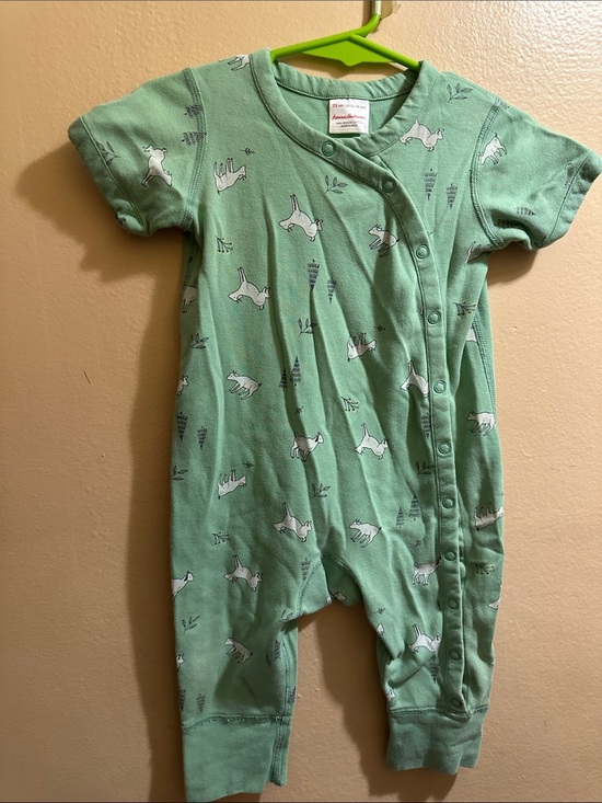 Hanna Andersson Other - Hanna Andersson Mint Green Bunny Print One-Piece Footie